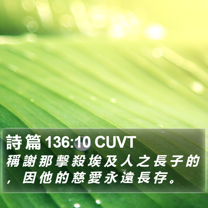 詩 篇 136:10 CUVT Bible Study