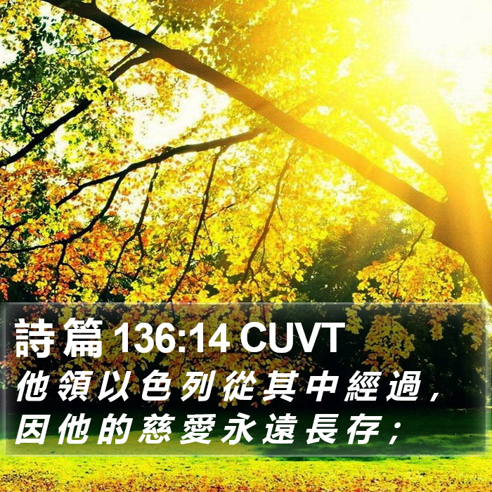 詩 篇 136:14 CUVT Bible Study