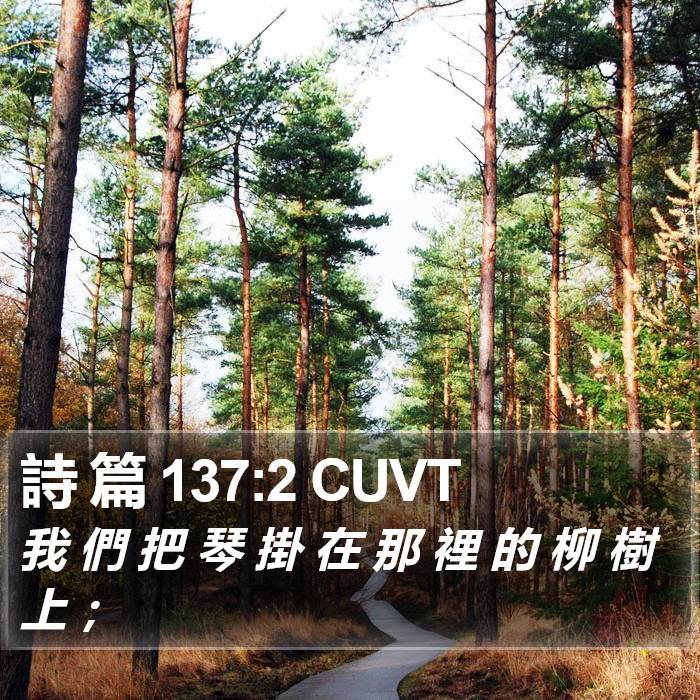 詩 篇 137:2 CUVT Bible Study
