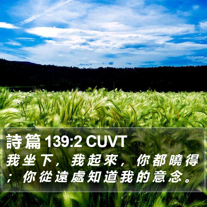 詩 篇 139:2 CUVT Bible Study