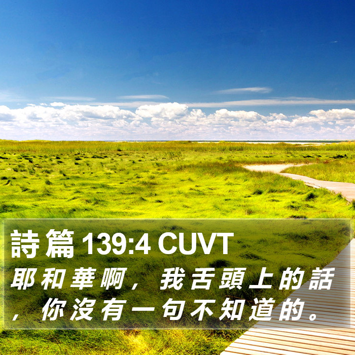 詩 篇 139:4 CUVT Bible Study