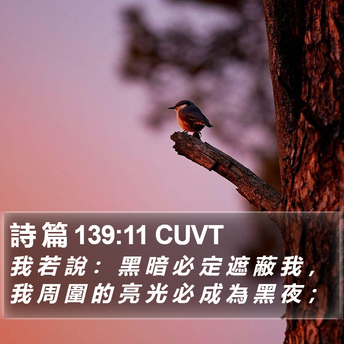 詩 篇 139:11 CUVT Bible Study