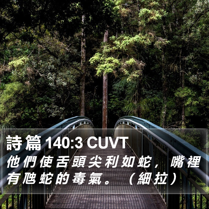 詩 篇 140:3 CUVT Bible Study
