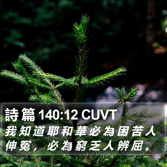 詩 篇 140:12 CUVT Bible Study