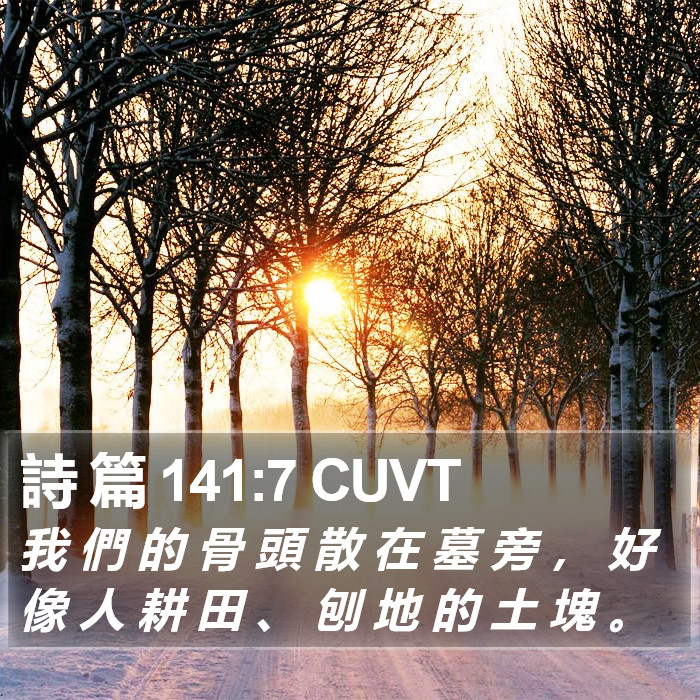 詩 篇 141:7 CUVT Bible Study