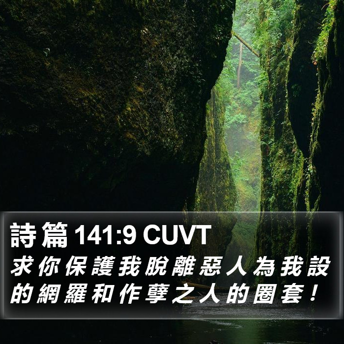 詩 篇 141:9 CUVT Bible Study