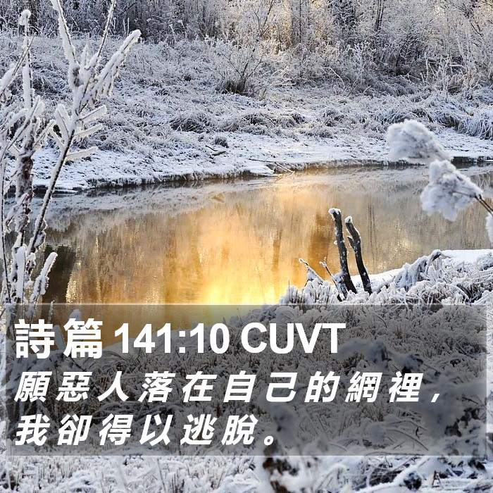 詩 篇 141:10 CUVT Bible Study