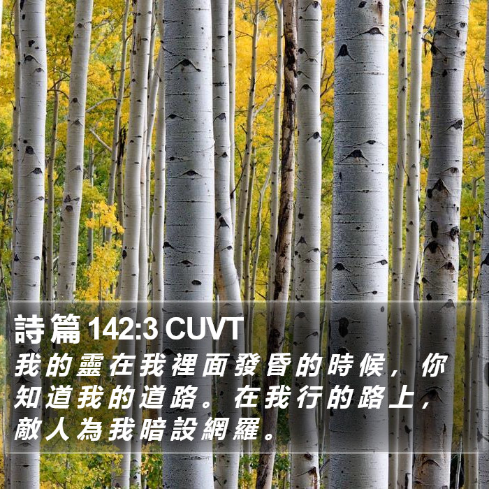 詩 篇 142:3 CUVT Bible Study