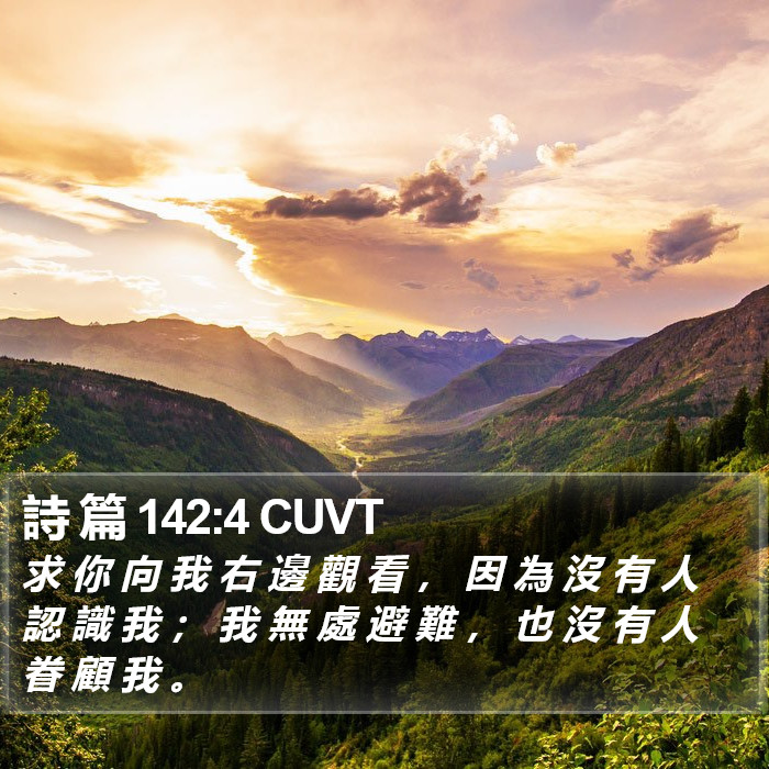 詩 篇 142:4 CUVT Bible Study