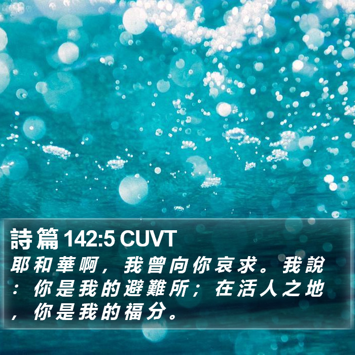 詩 篇 142:5 CUVT Bible Study