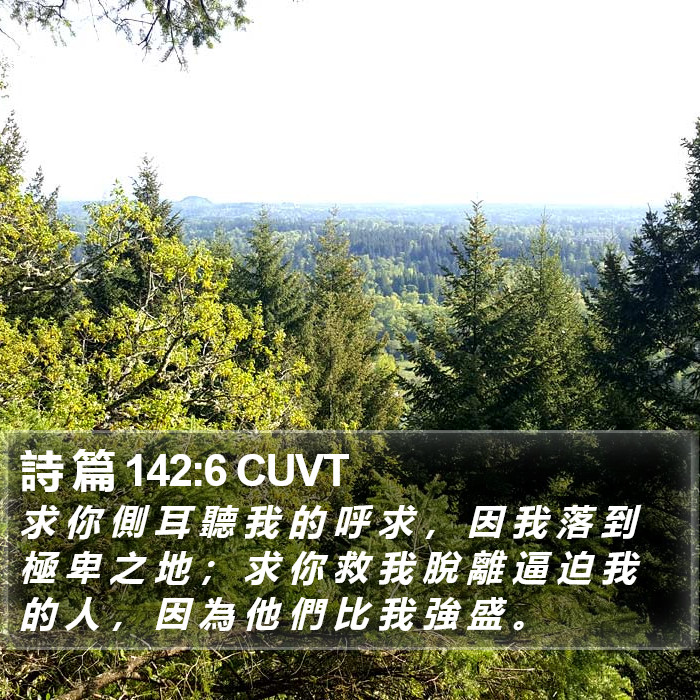 詩 篇 142:6 CUVT Bible Study