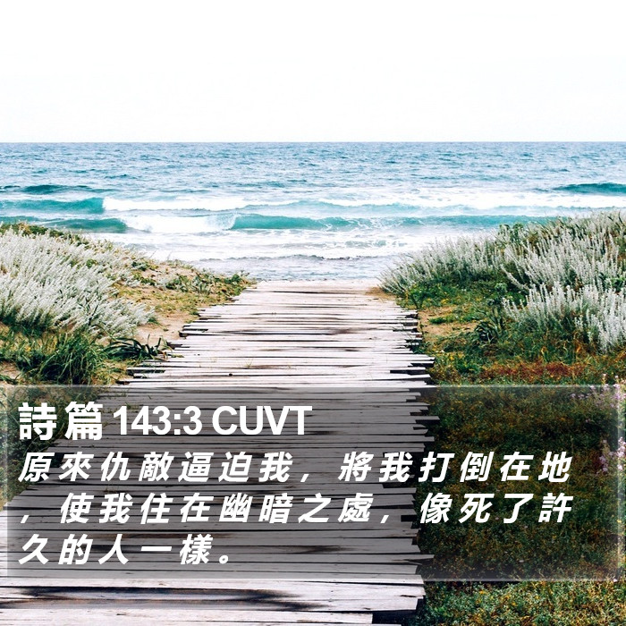 詩 篇 143:3 CUVT Bible Study