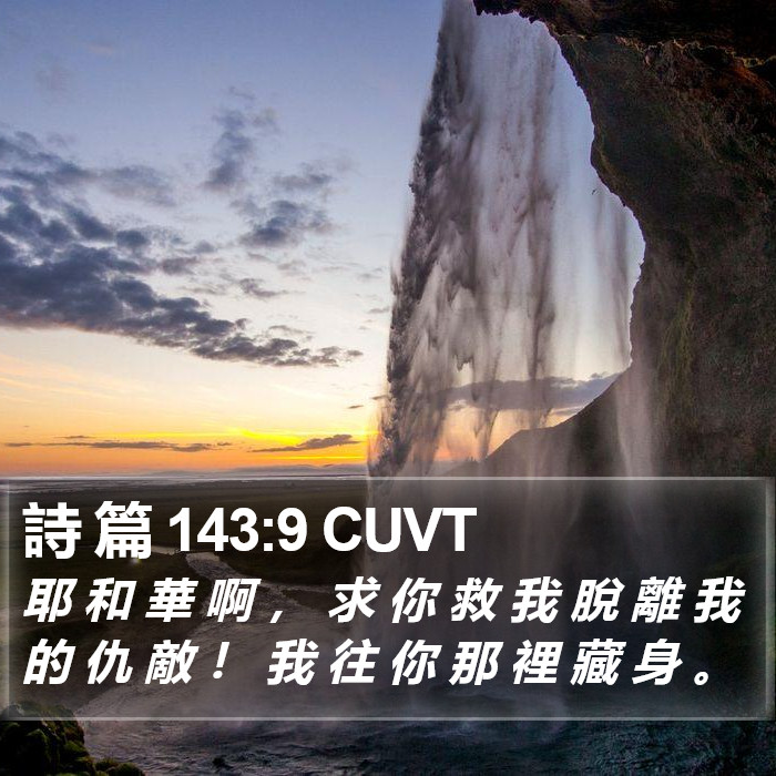 詩 篇 143:9 CUVT Bible Study