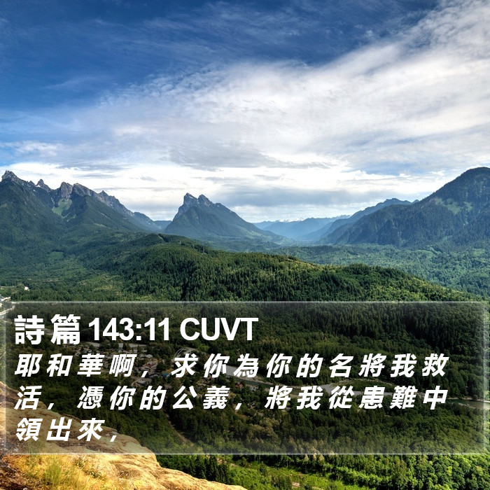 詩 篇 143:11 CUVT Bible Study