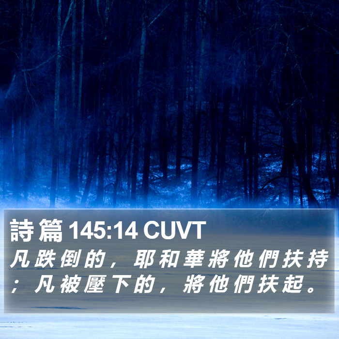 詩 篇 145:14 CUVT Bible Study