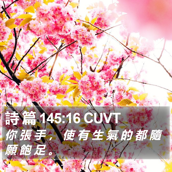 詩 篇 145:16 CUVT Bible Study