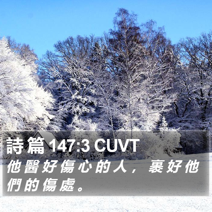 詩 篇 147:3 CUVT Bible Study