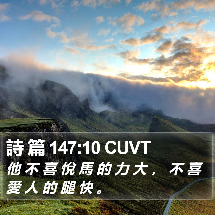 詩 篇 147:10 CUVT Bible Study