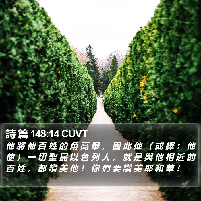 詩 篇 148:14 CUVT Bible Study