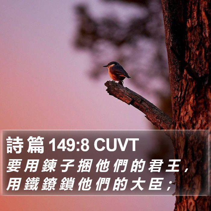 詩 篇 149:8 CUVT Bible Study