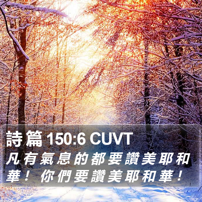 詩 篇 150:6 CUVT Bible Study