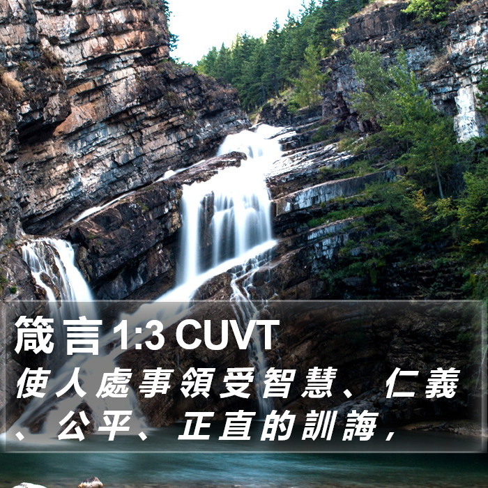 箴 言 1:3 CUVT Bible Study