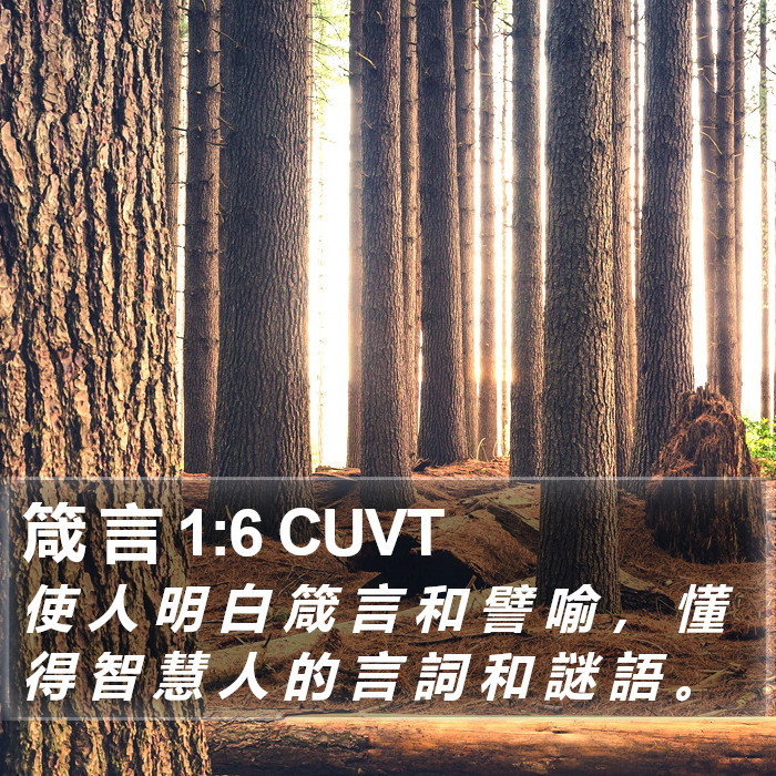 箴 言 1:6 CUVT Bible Study