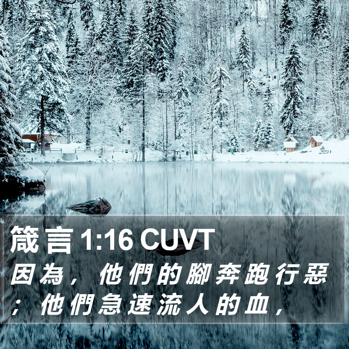 箴 言 1:16 CUVT Bible Study