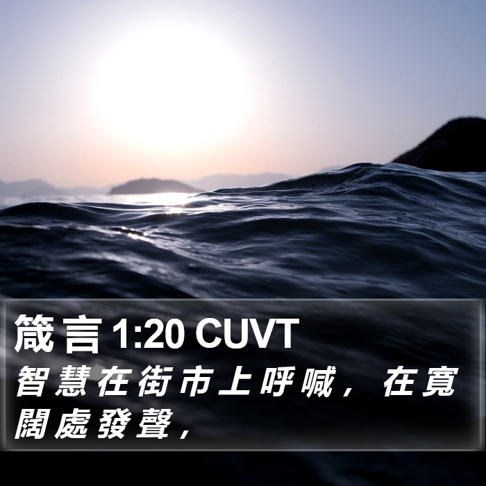 箴 言 1:20 CUVT Bible Study