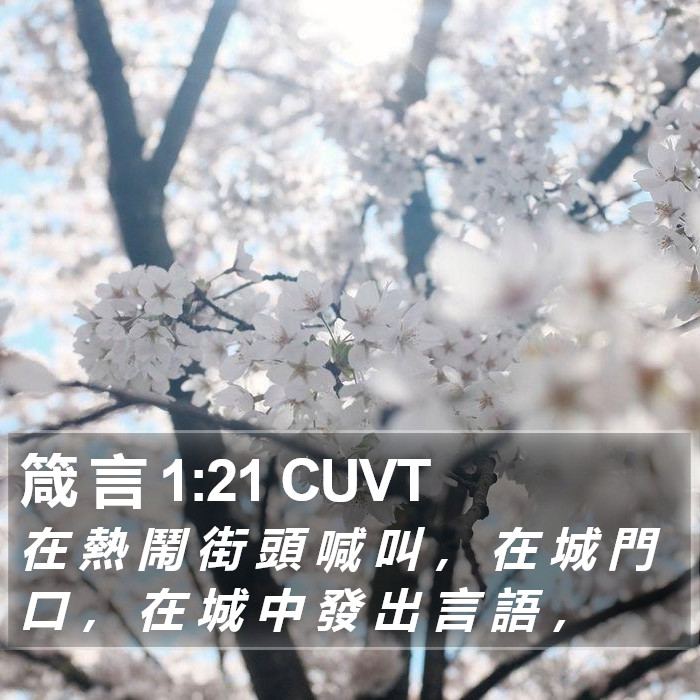 箴 言 1:21 CUVT Bible Study