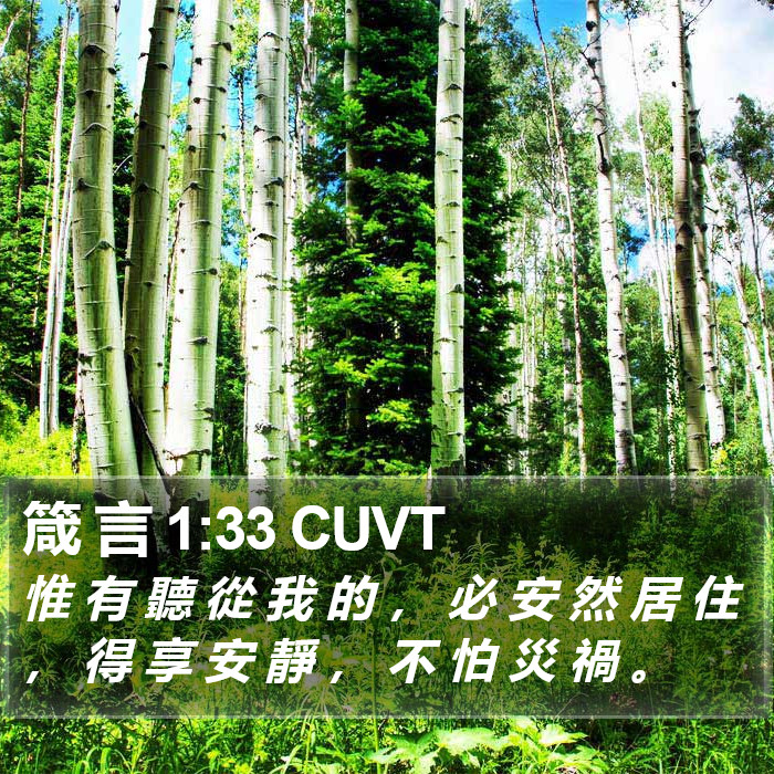 箴 言 1:33 CUVT Bible Study