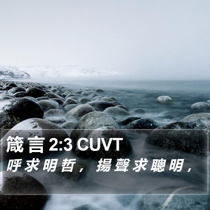 箴 言 2:3 CUVT Bible Study