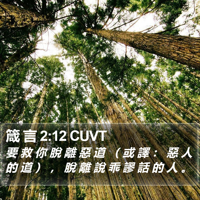 箴 言 2:12 CUVT Bible Study