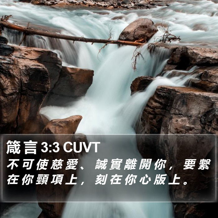 箴 言 3:3 CUVT Bible Study