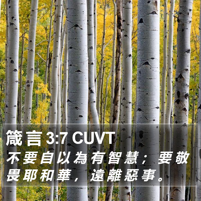 箴 言 3:7 CUVT Bible Study