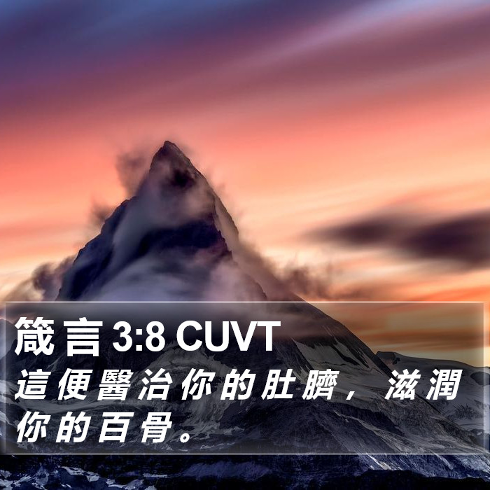 箴 言 3:8 CUVT Bible Study