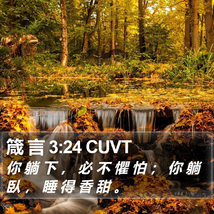 箴 言 3:24 CUVT Bible Study