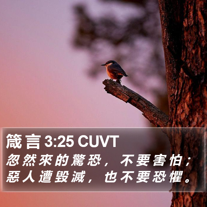 箴 言 3:25 CUVT Bible Study
