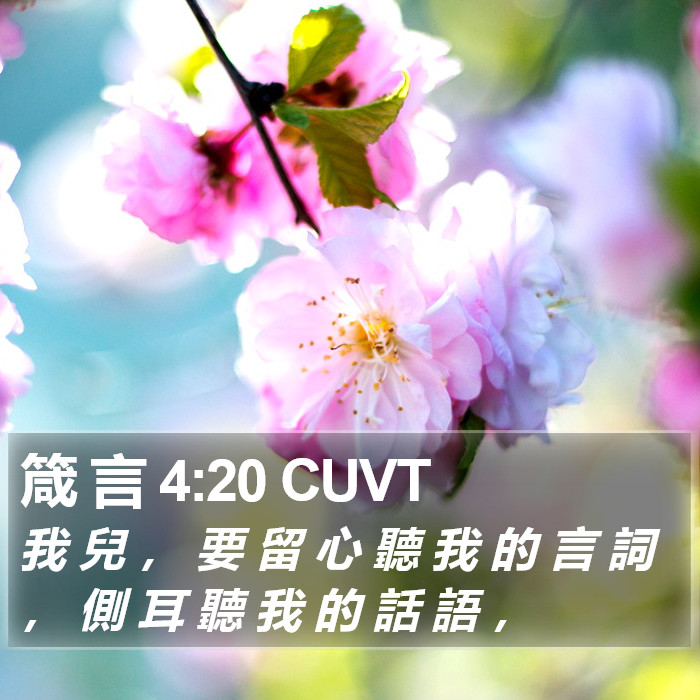 箴 言 4:20 CUVT Bible Study