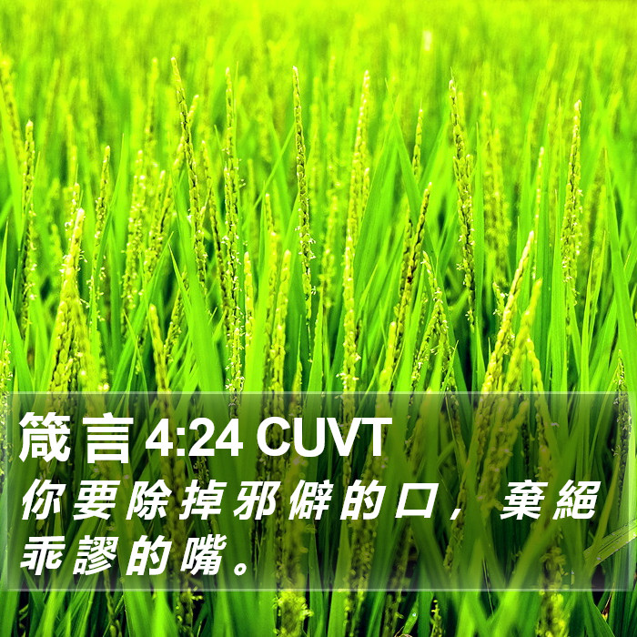 箴 言 4:24 CUVT Bible Study