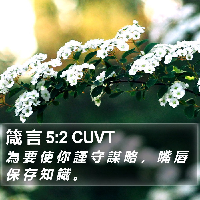 箴 言 5:2 CUVT Bible Study