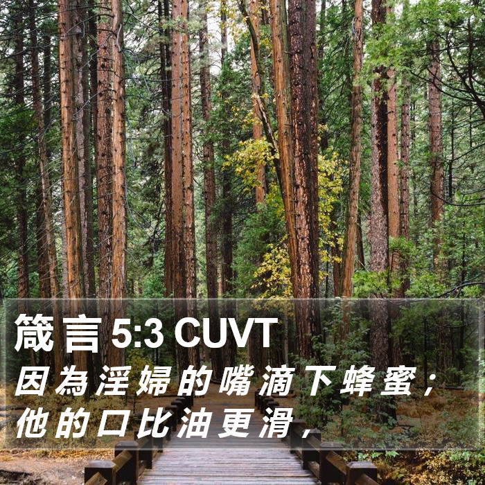 箴 言 5:3 CUVT Bible Study