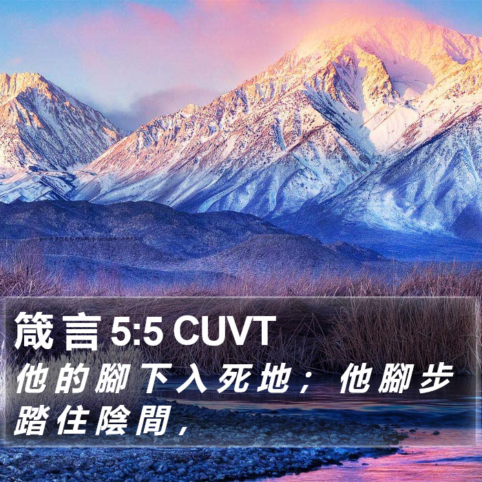 箴 言 5:5 CUVT Bible Study