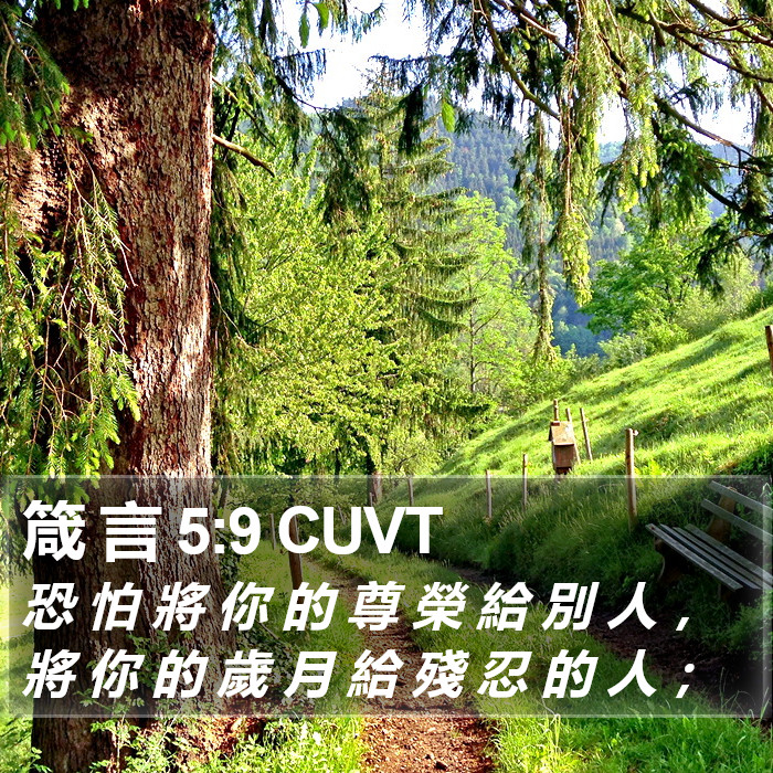 箴 言 5:9 CUVT Bible Study