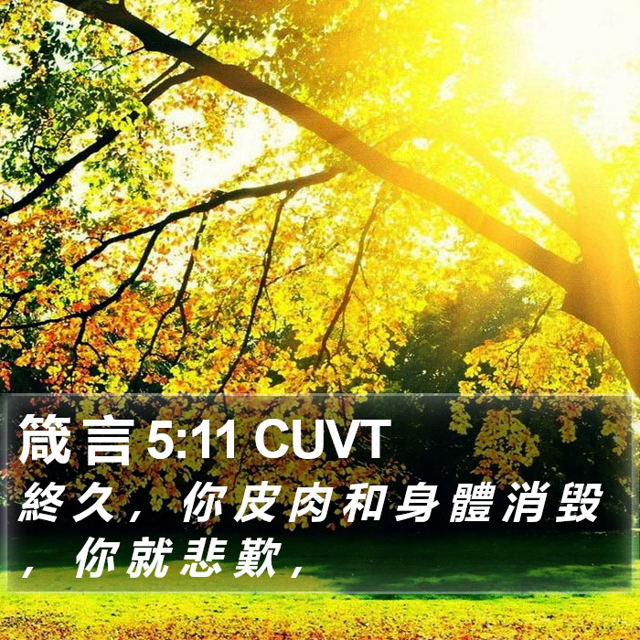 箴 言 5:11 CUVT Bible Study