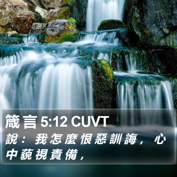 箴 言 5:12 CUVT Bible Study