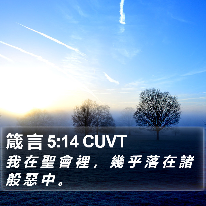 箴 言 5:14 CUVT Bible Study
