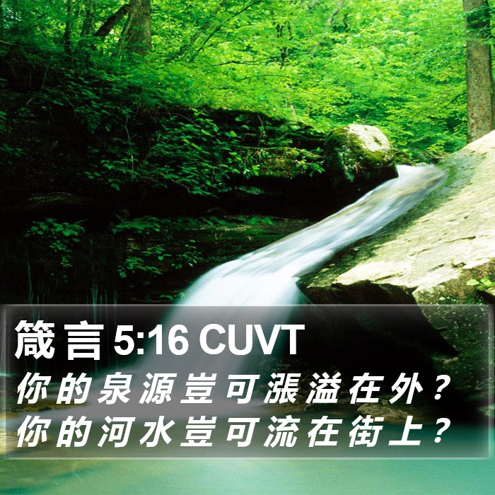 箴 言 5:16 CUVT Bible Study