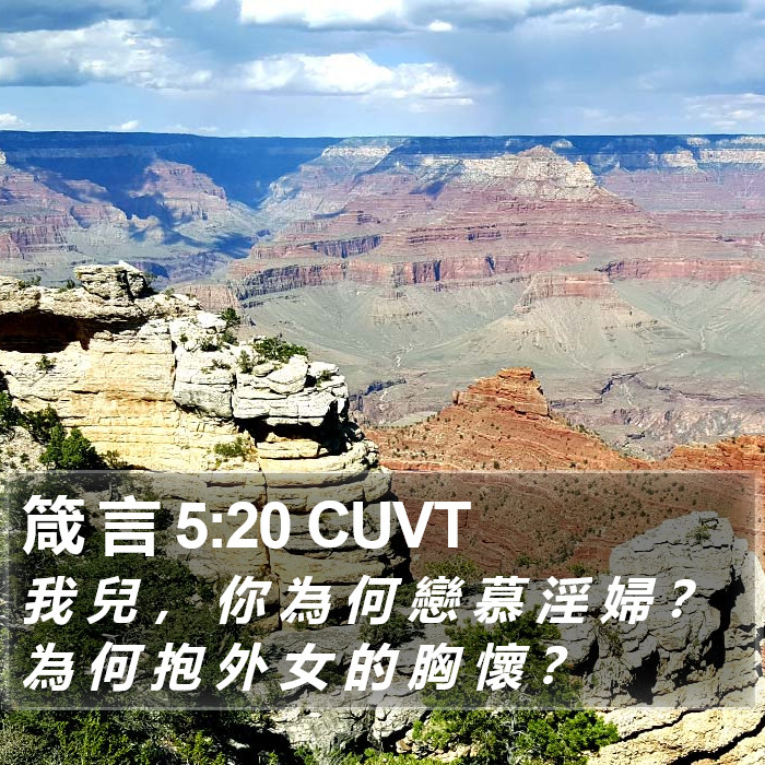 箴 言 5:20 CUVT Bible Study