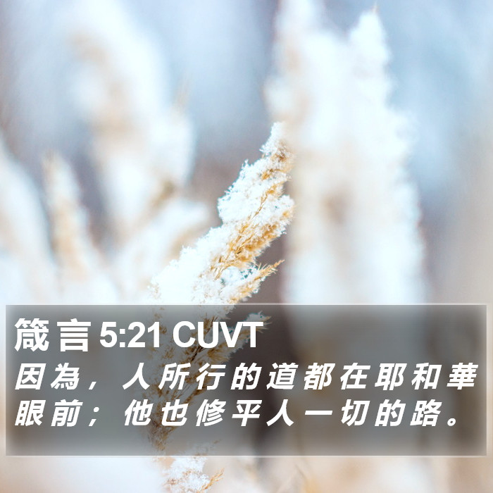 箴 言 5:21 CUVT Bible Study